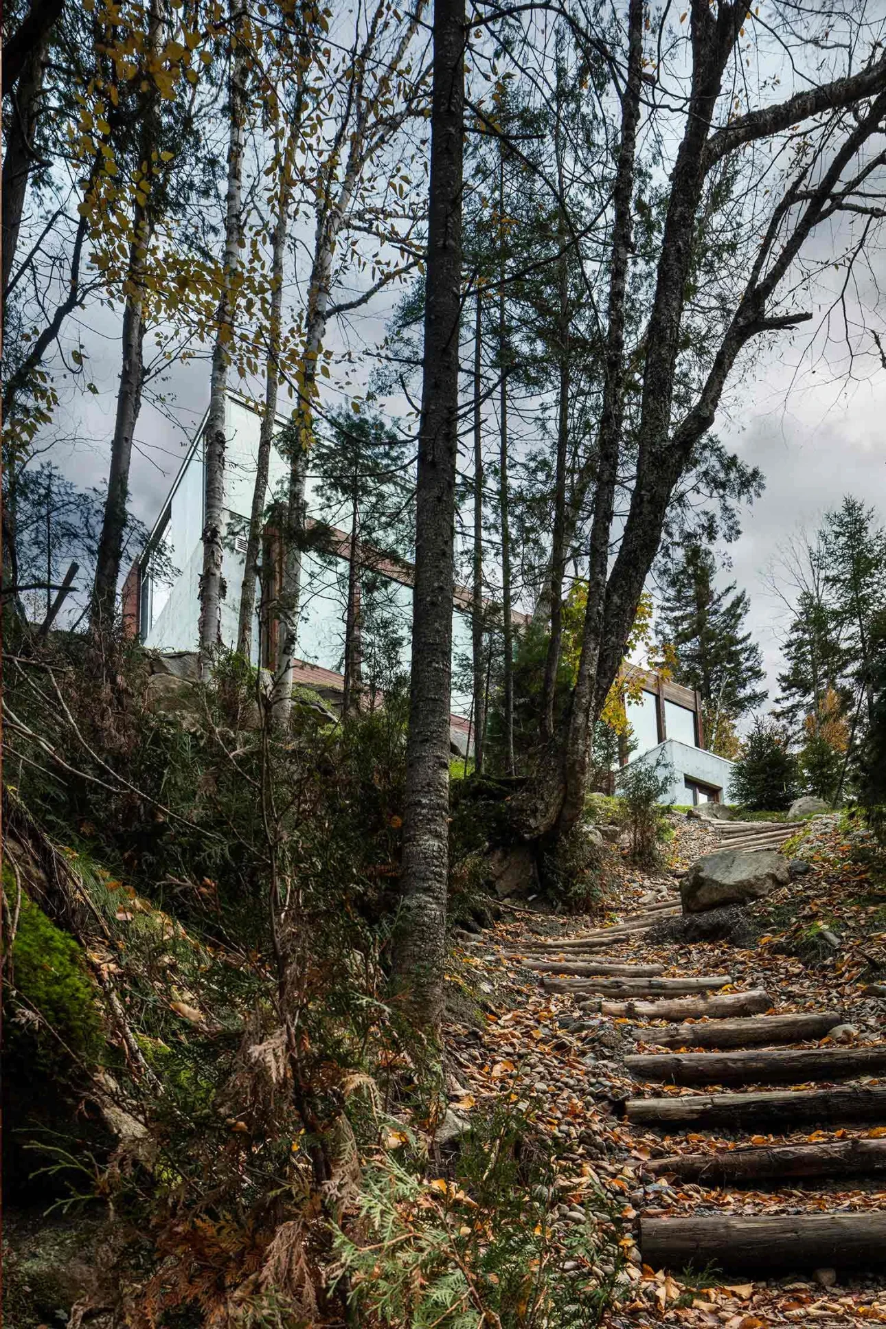 Dans l'Escarpement